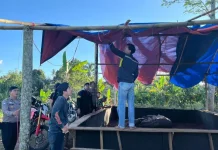 Polsek Pulau Panggung Bongkar Gelanggang Sabung Ayam