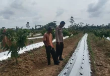 Bhabinkamtibmas Polsek Mesuji Timur Monitoring dan Pendampingan Desa Wonosari