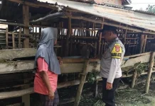 Bhabinkamtibmas Polsek Simpang Pematang Sambangi Peternak Warga