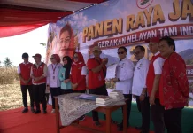 GNTI Gelar Panen Raya Jagung di Pesawaran