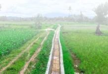 Kementan Alokasikan Rp32 M untuk Pemeliharaan 305 Irigasi Tersier di Lampung