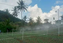 PLN Suplai 700 MW untuk Dukung Hilirisasi Komoditas Lampung