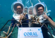 UIN Raden Intan Lampung Gelar Aksi Konservasi Laut di Pulau Pahawang
