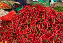 Inflasi Lampung Mei 2026 Capai 0,82 Persen, Cabai Merah Pemicu Utama