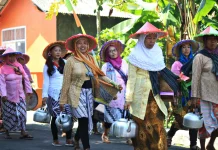 Nilai Tukar Petani Lampung Naik Jadi 128,01 pada Mei 2026