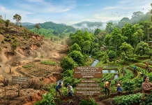 Perubahan Iklim Jadi Ancaman Utama Lampung