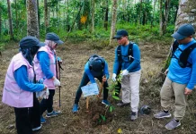PLN Lampung Gelar Aksi Tanam Pohon Peringati Hari Lingkungan Hidup Sedunia