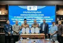 Kawasan Industri Energi Katibung Disiapkan Jadi Pusat Produksi Energi Nasional