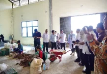 Mocaf Pringsewu Dilirik Kementerian Koperasi, Diusulkan Jadi Penggerak Ekonomi