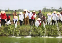 Pemkab Lampung tengah Dorong Kemajuan Pertanian dan Perikanan