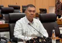 Rycko Menoza Sebut Pembiayaan PPPK Perlu Dukungan APBN