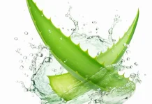 Manfaat Lidah Buaya untuk Masker Wajah, Bantu Jaga Kesehatan Kulit