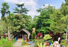 Taman Betung, Oase Sejuk di Perbukitan Kemiling, Bandar Lampung