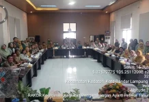 Program Ayam Petelur Didorong untuk Perkuat Ketahanan Pangan & Ekonomi Peternak