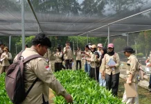 Mahasiswa Pelajari Pembibitan dan Pengelolaan Tanaman Kehutanan