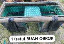 Patroli Perusahaan Gagalkan Aksi Pencurian Sawit Mesuji