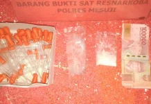 Berbekal Informasi Warga, Pengedar Sabu Dibekuk Polisi