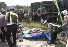 Tiga Truk Boks Terlibat Kecelakaan di Lampung Selatan, Dua Orang Meninggal Dunia