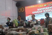 Polda Lampung Ungkap 17 Kasus Narkotika Senilai Rp235 Miliar, Amankan 24 Tersangka