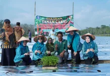 Terapkan Smart Farming Cabai, Tubaba Perkuat Ketahanan Pangan