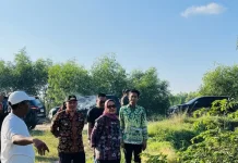 Lahan Eks Tambang di Pasir Sakti Disiapkan Menjadi Sawah Produktif