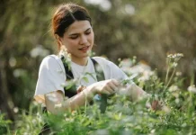 Tren "Urban Foraging": Mengenal Tanaman Pangan Liar di Lingkungan Sekitar Kita