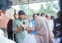 Gubernur Luncurkan Bed Dryer di Mesuji, Dorong Produktivitas dan Nilai Jual Gabah