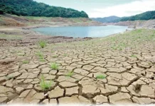 WMO: El Nino Menguat, Risiko Gelombang Panas dan Kekeringan Meningkat