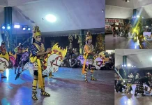 Kuda Siger Debut Perdana, Simbol Harmoni Budaya Jawa dan Lampung