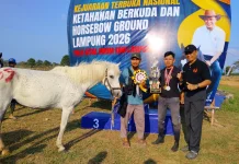 Ketua KONI Lampung Harapkan Prestasi Berkuda Berlanjut di PON 2028