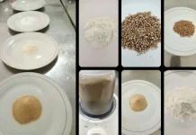Polinela Kembangkan Minuman Instan Berbasis Tiwul dan Madu