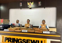 Polres Pringsewu Gagalkan Peredaran 24 Kilogram Ganja Asal Sumatera Utara