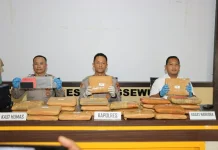 Polres Pringsewu Gagalkan Peredaran 24 Kilogram Ganja