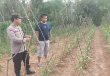 Bhabinkamtibmas Polsek Tanjung Raya Sambang Binluh di Desa Brabasan