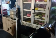 Bakpao Berkarakter: Camilan Menarik yang Disukai Semua Kalangan
