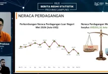 Neraca Perdagangan Lampung Mei 2026 Surplus US$251 Juta