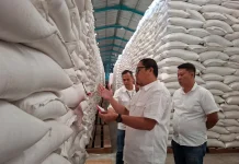 BULOG Lampung Pastikan Stok Beras Aman jelang Penyaluran Bantuan Pangan Tambahan