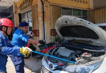 Damkar Bandar Lampung Berhasil Evakuasi Ular Kobra Jawa dari Kap Mesin Mobil