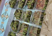 Jejak Rasa Otak-Otak Kota Agung: Sajian Tradisional yang Tak Terlupakan