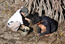 KKN Itera Perkuat Wisata Berkelanjutan dan Ekonomi Masyarakat Pesisir