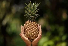 Apa yang Terjadi pada Tubuh saat Makan Nanas Setiap Hari?