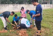 PLN UP3 Metro Tanam Pohon Buah Peringati Hari Lingkungan Hidup Sedunia