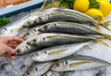 Ikan Gembung Kaya Omega-3, Baik untuk Jantung
