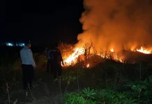 Polisi dan Warga Padamkan Karhutla di Mesuji