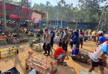 Lomba Merpati Kolong Gerakan Ekonomi Daerah