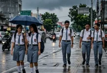 BMKG: Tanggamus Berpotensi Diguyur Hujan Lebat Disertai Petir Pagi Ini