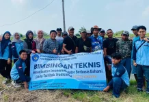 Petambak Udang Lampung Timur Dibekali Teknologi Pencegahan Penyakit