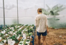 Fenomena Micro-Hydroponic: Tren Bertani Perkotaan ala Gen Z Urban