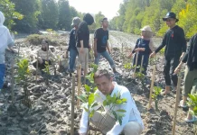 Mitra Bentala Ingatkan Ancaman Kerusakan Mangrove Bagi Nelayan Lampung