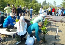 Luas Mangrove Bandar Lampung Terkecil di antara Pesisir Lampung